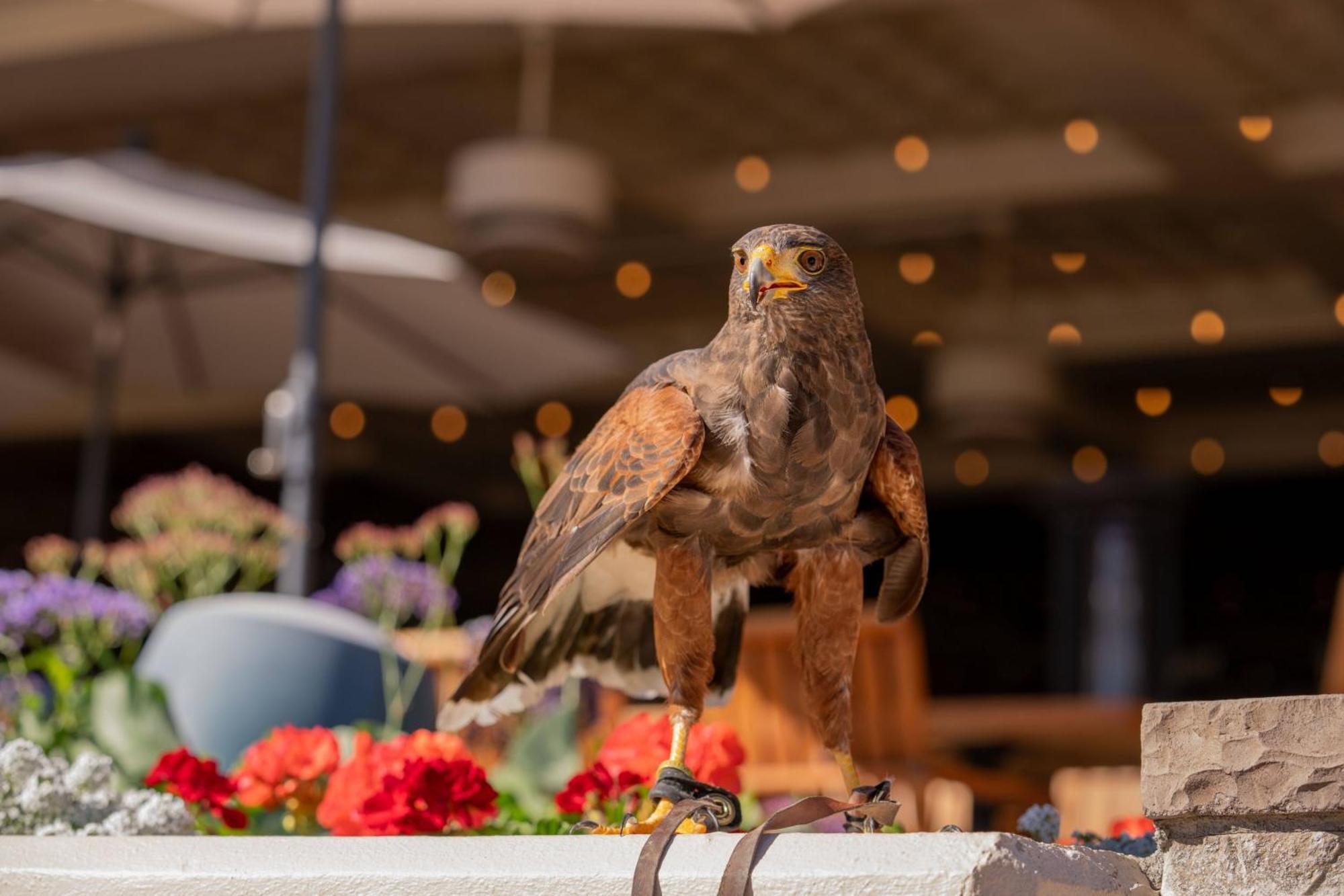 The Phoenician, A Luxury Collection Resort, Scottsdale Bagian luar foto